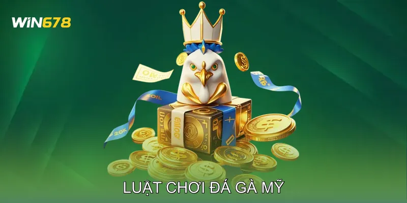 Đá Gà Mỹ Học Hỏi Kỹ Thuật Qua Các Trận Đấu Thực Chiến 3 Luật Chơi Đá Gà Mỹ